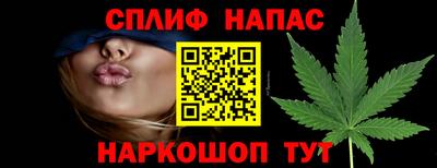 стафф Моздок