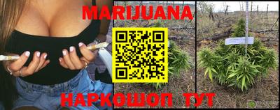 стафф Моздок