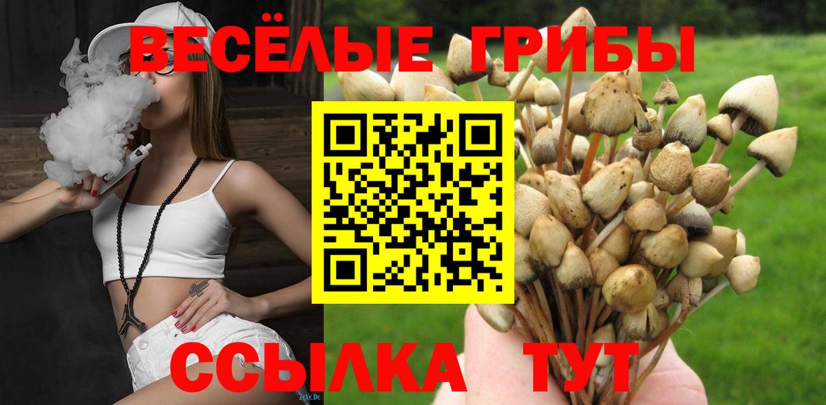 Псилоцибиновые грибы Сухой Лог