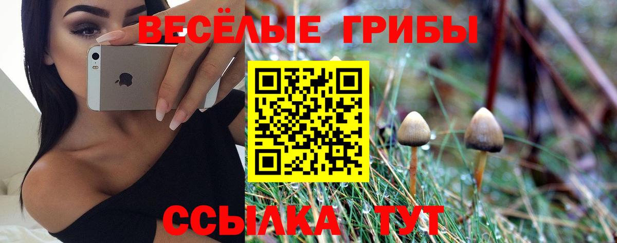 Галлюциногенные грибы ЛСД Сухой Лог