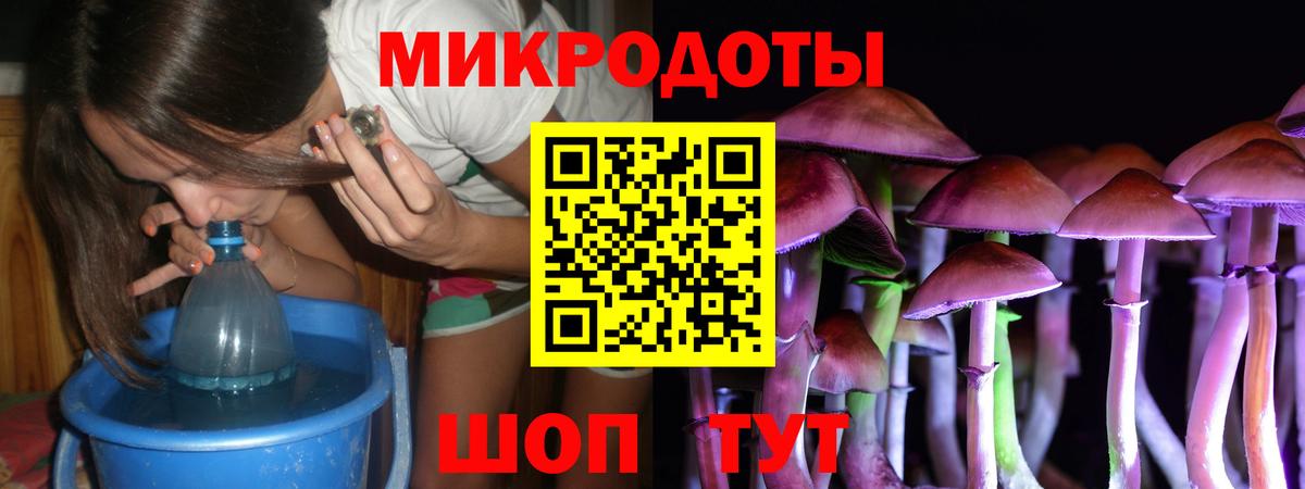 Псилоцибиновые грибы Cubensis  Вход с VPN  Сухой Лог 